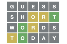 Custom Wordle